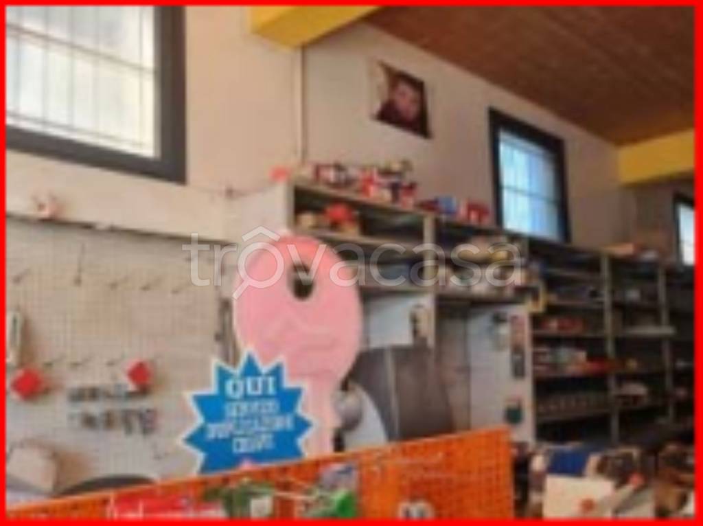 immagine annuncio 10 di 12