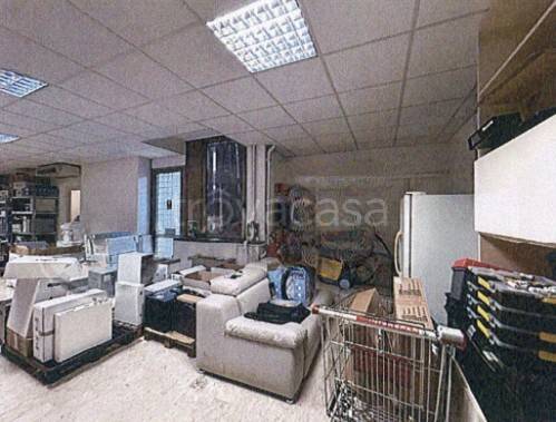 immagine annuncio 4 di 14