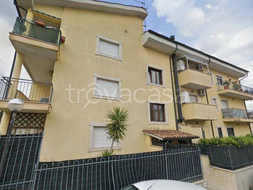 immagine annuncio 12 di 13