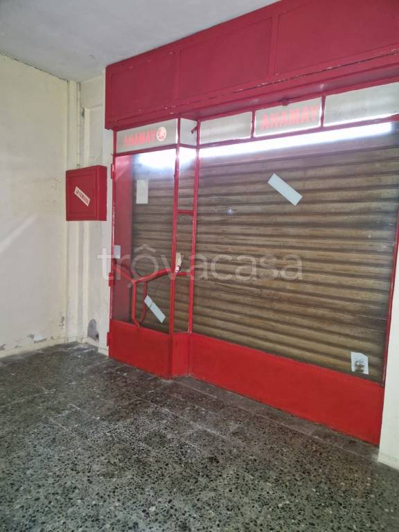 immagine annuncio 5 di 7