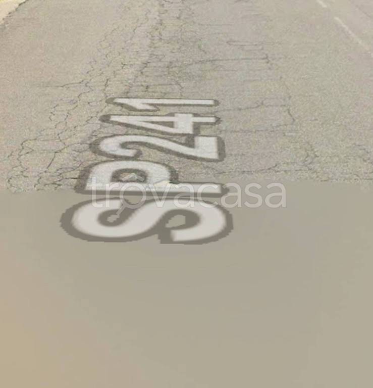 immagine annuncio 10 di 13