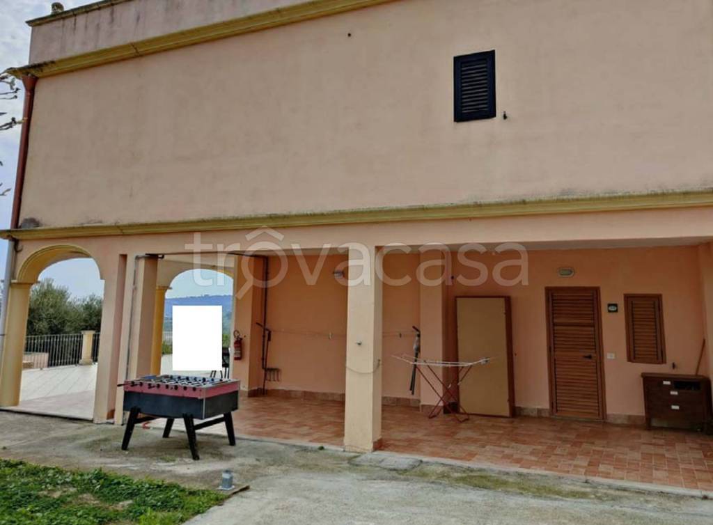 immagine annuncio 3 di 13