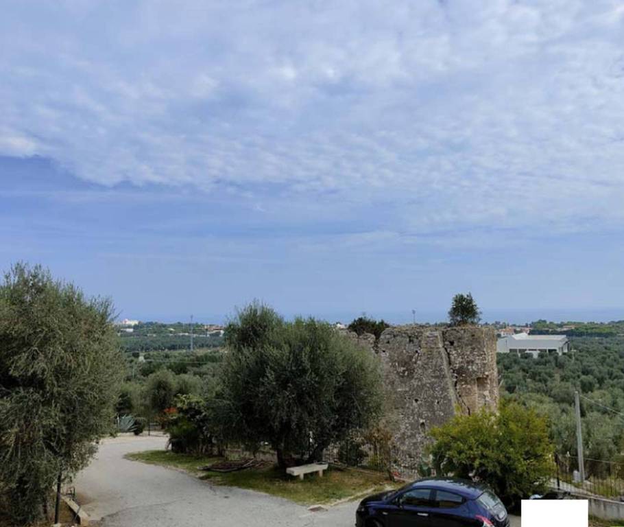 immagine annuncio 11 di 13