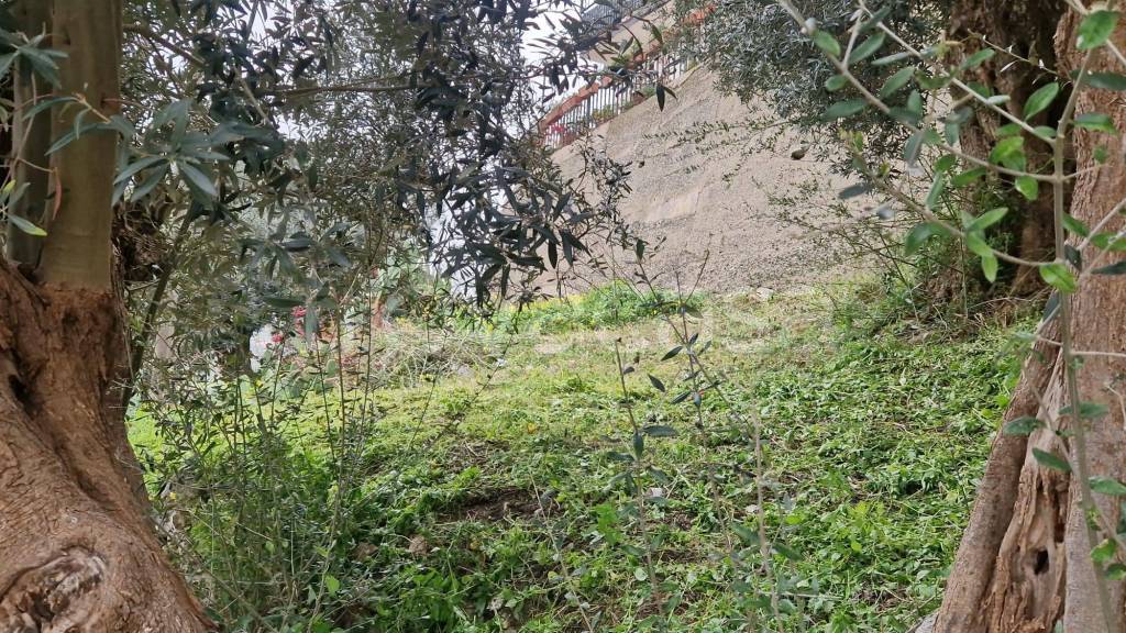 immagine annuncio 5 di 6