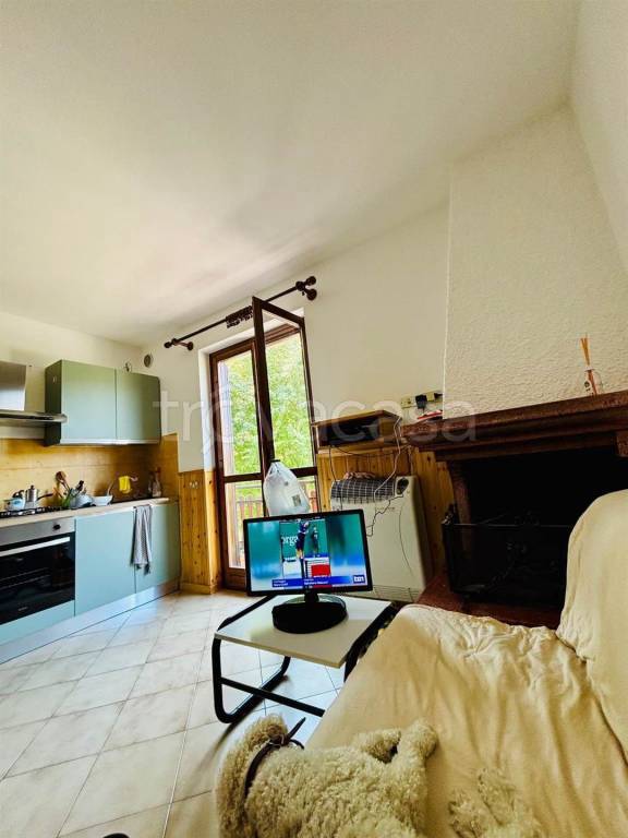 immagine annuncio 2 di 15