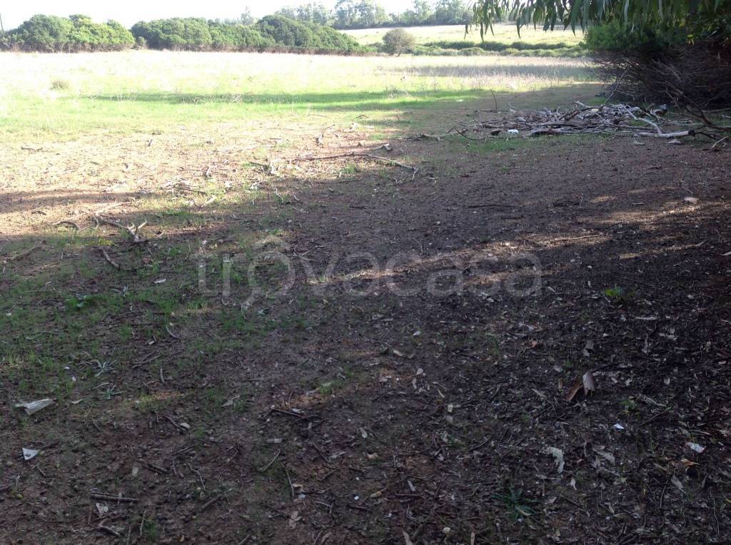 immagine annuncio 7 di 14