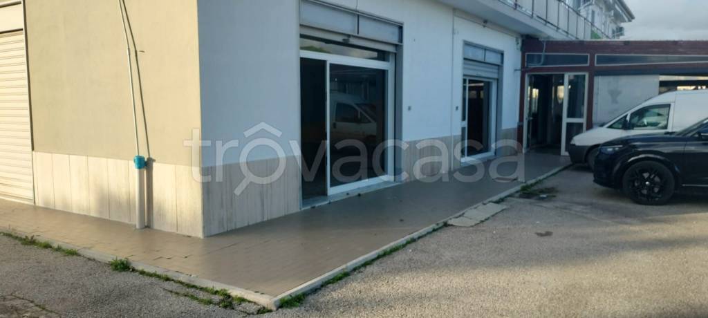 immagine annuncio 13 di 14