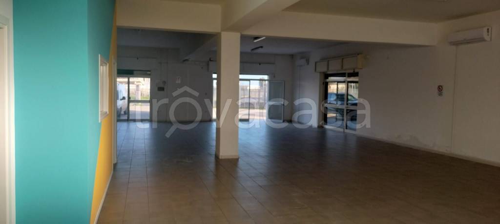 immagine annuncio 4 di 14