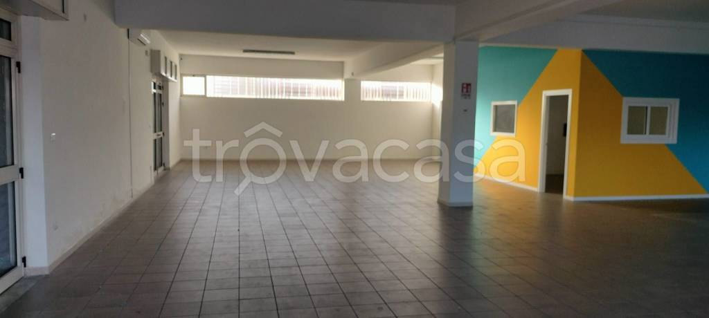 immagine annuncio 6 di 14