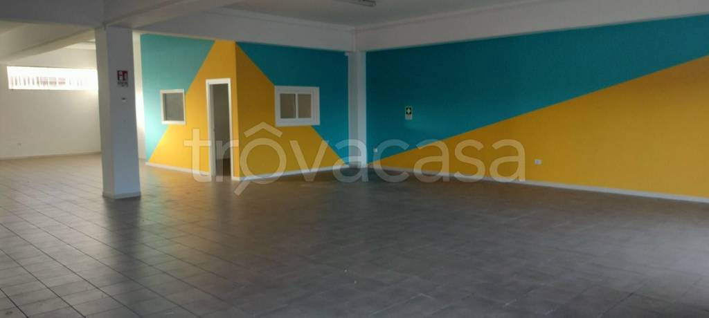 immagine annuncio 5 di 14