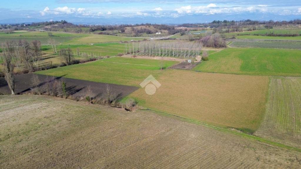 immagine annuncio 8 di 14