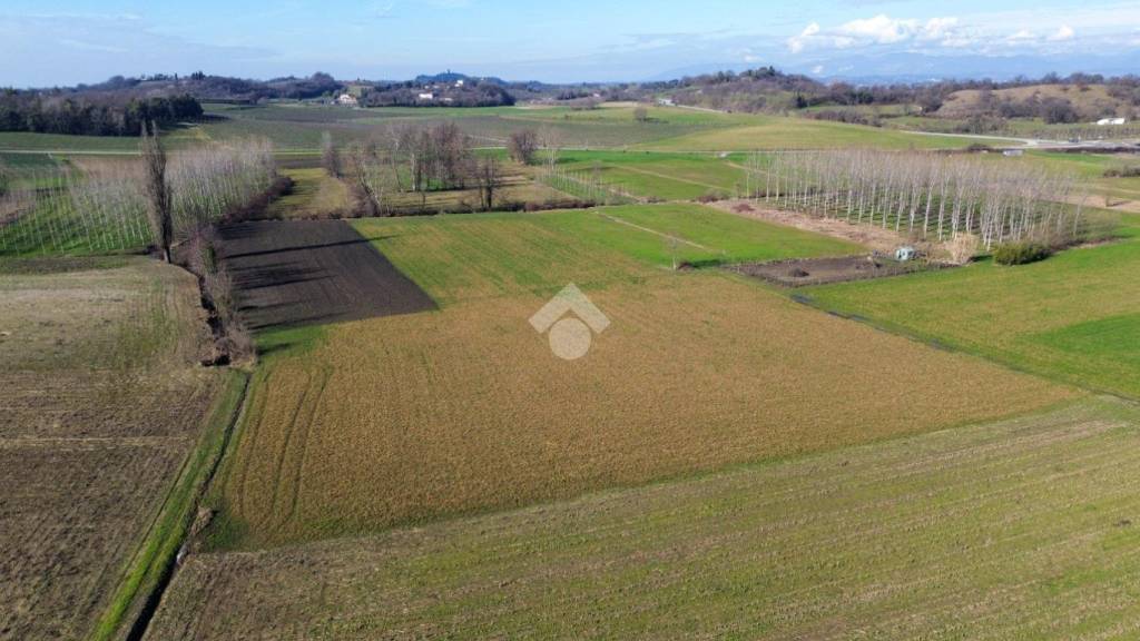 immagine annuncio 9 di 14