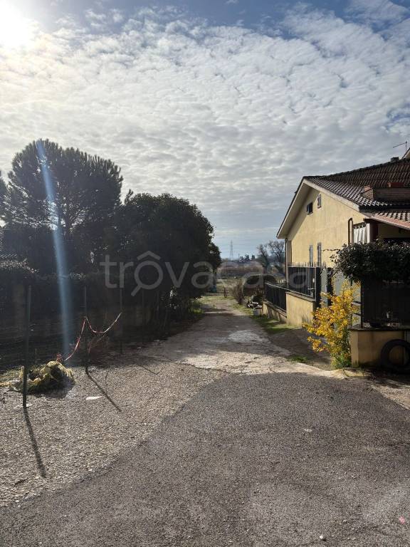 immagine annuncio 7 di 8