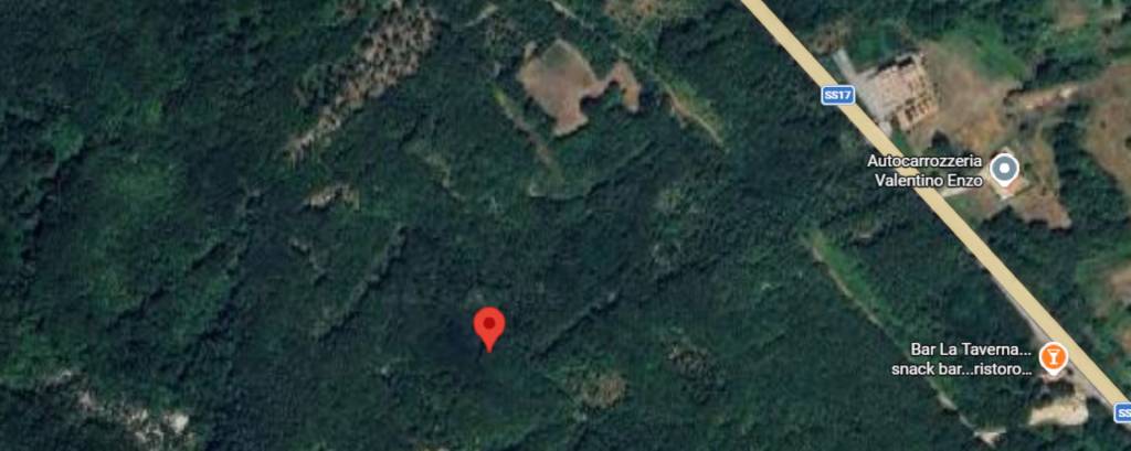 immagine annuncio 2 di 11