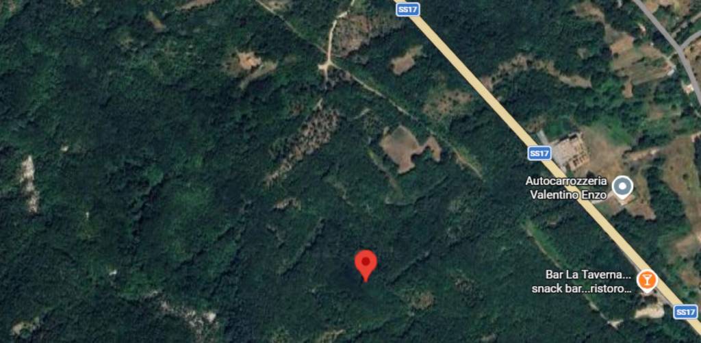 immagine annuncio 3 di 11