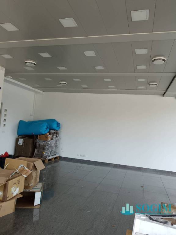 immagine annuncio 4 di 7