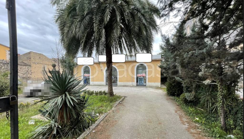 immagine annuncio 7 di 11