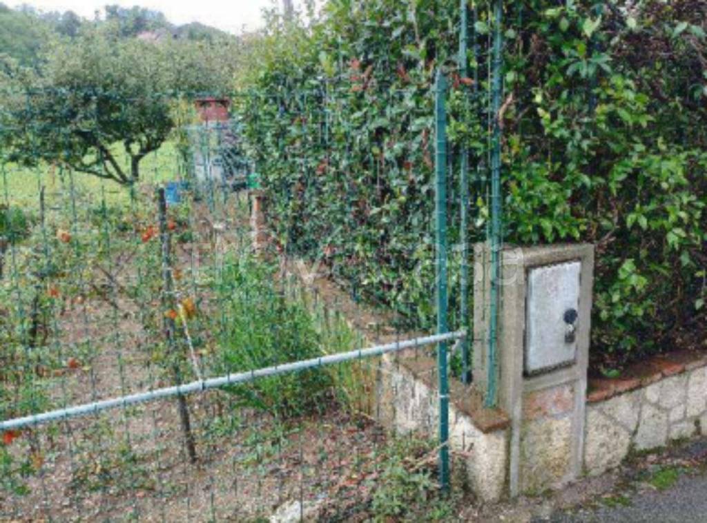 immagine annuncio 8 di 12