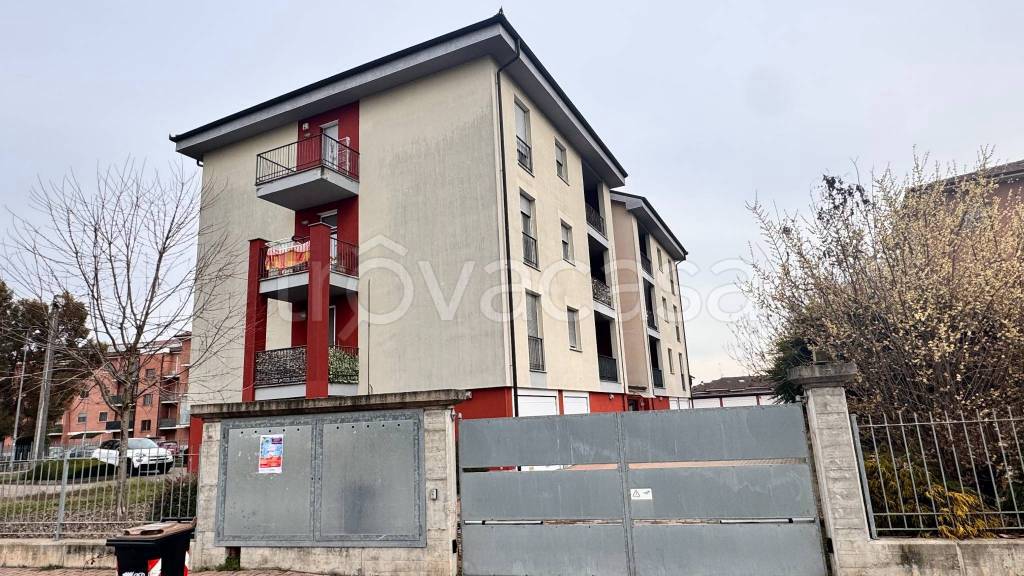 immagine annuncio 1 di 15