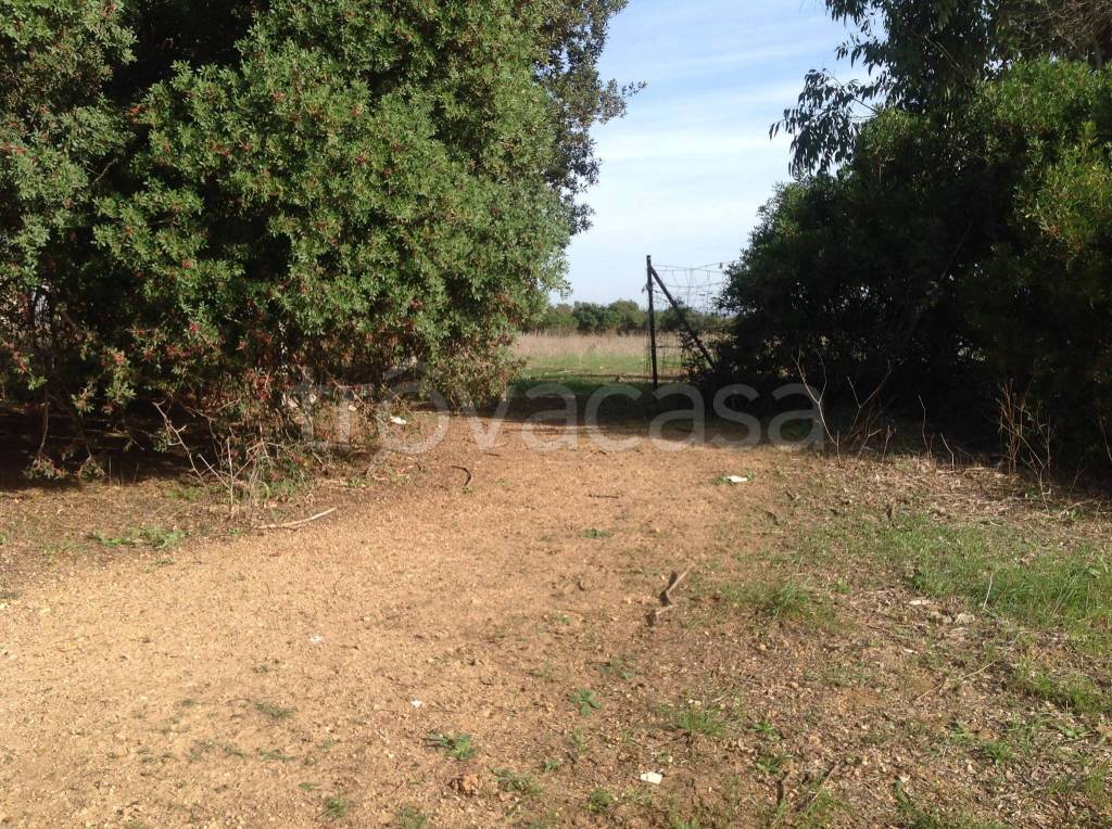 immagine annuncio 13 di 14