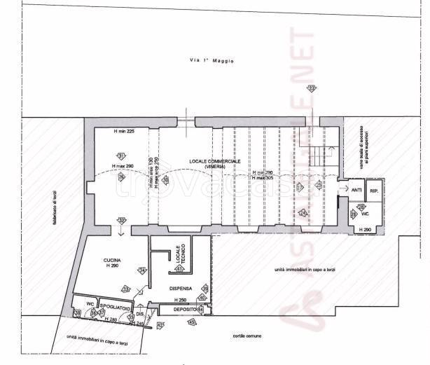 immagine annuncio 9 di 10