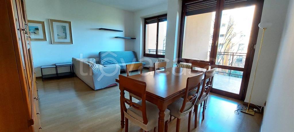 immagine annuncio 2 di 12