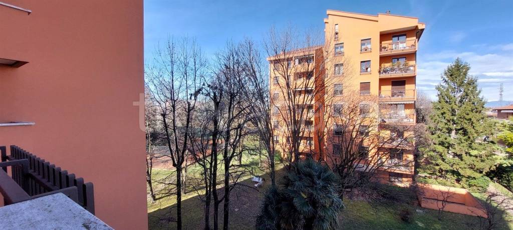 immagine annuncio 6 di 12