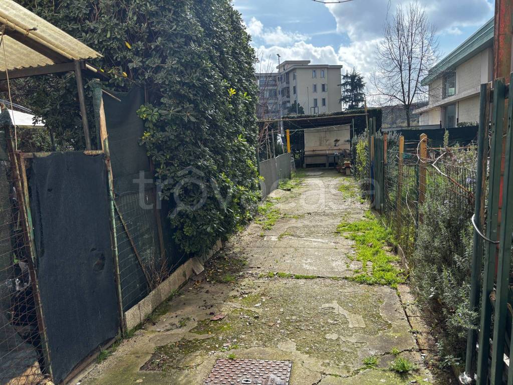 immagine annuncio 3 di 12