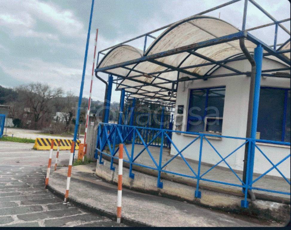 immagine annuncio 1 di 8