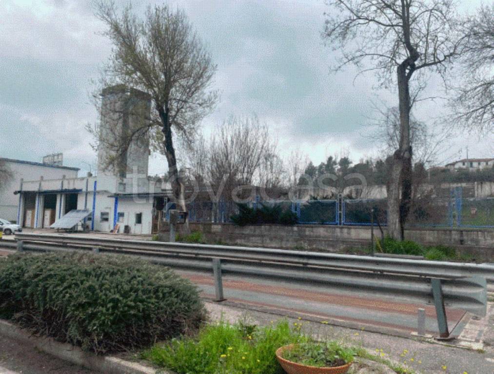 immagine annuncio 2 di 8