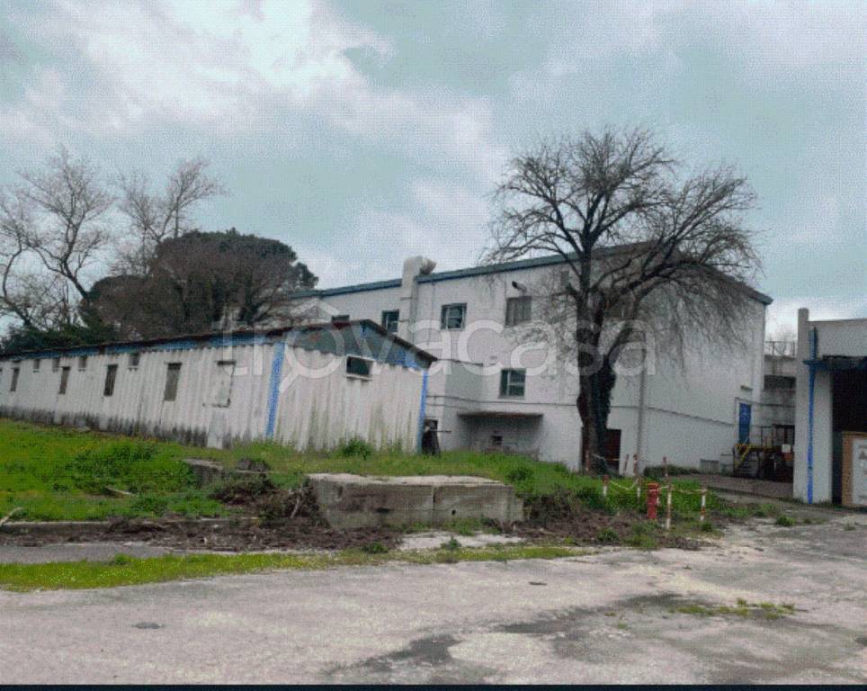 immagine annuncio 3 di 8