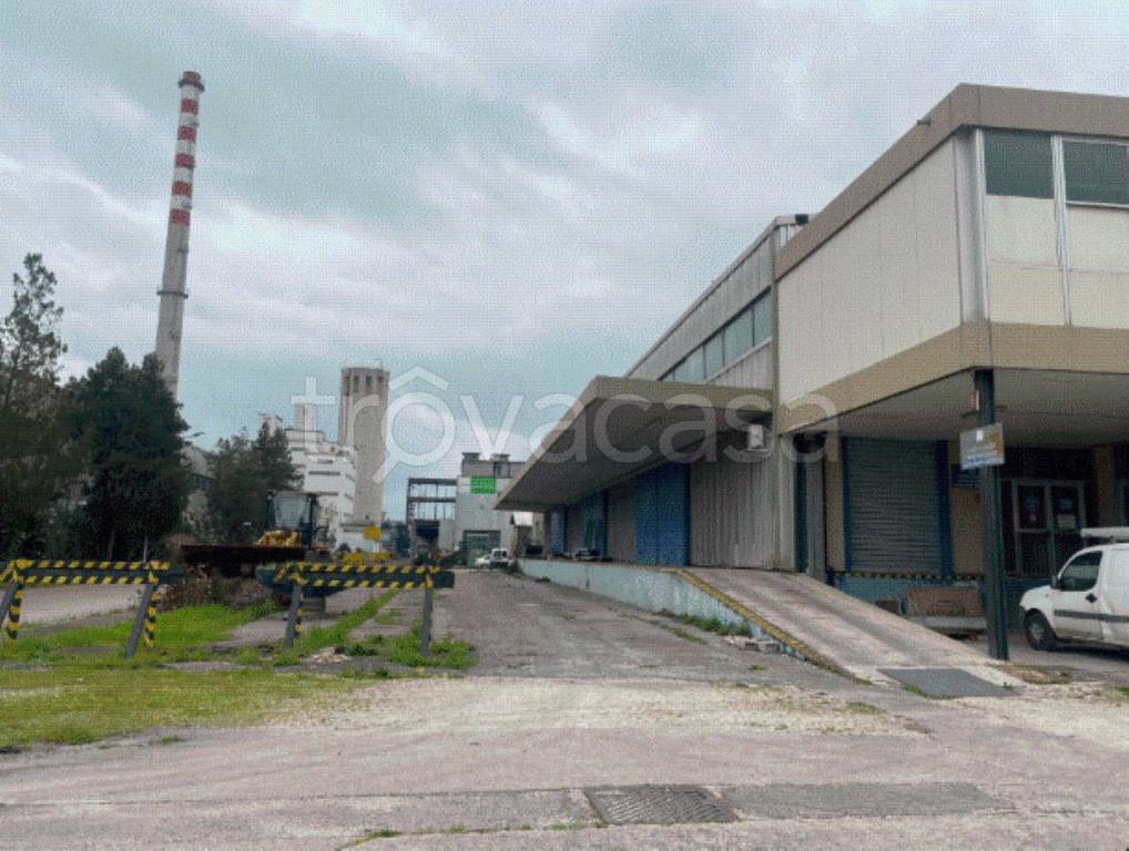 immagine annuncio 4 di 8