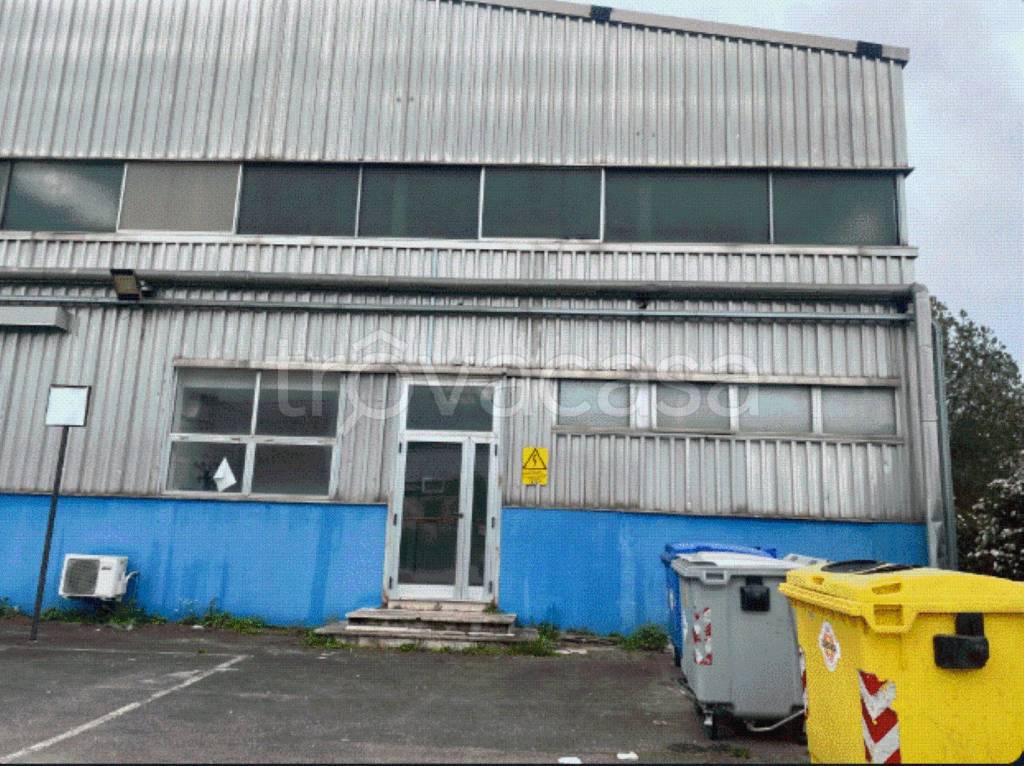 immagine annuncio 5 di 8