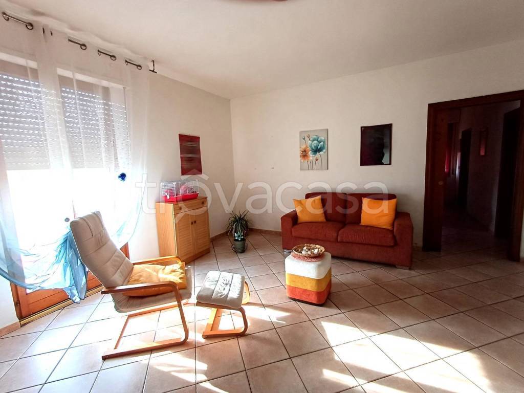 immagine annuncio 4 di 12