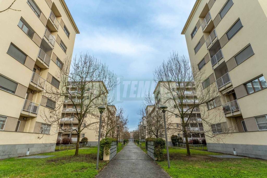 immagine annuncio 12 di 14