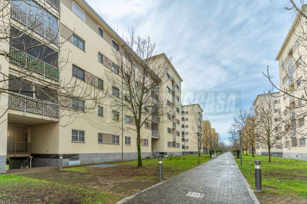 immagine annuncio 11 di 14