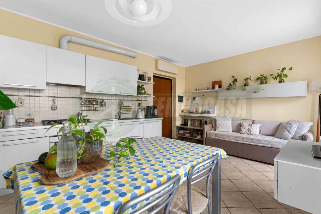 immagine annuncio 4 di 14