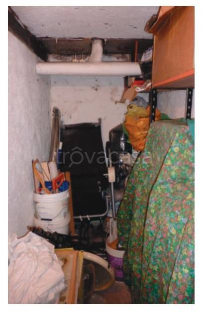 immagine annuncio 9 di 12