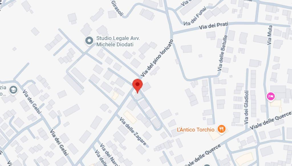 immagine annuncio 10 di 11