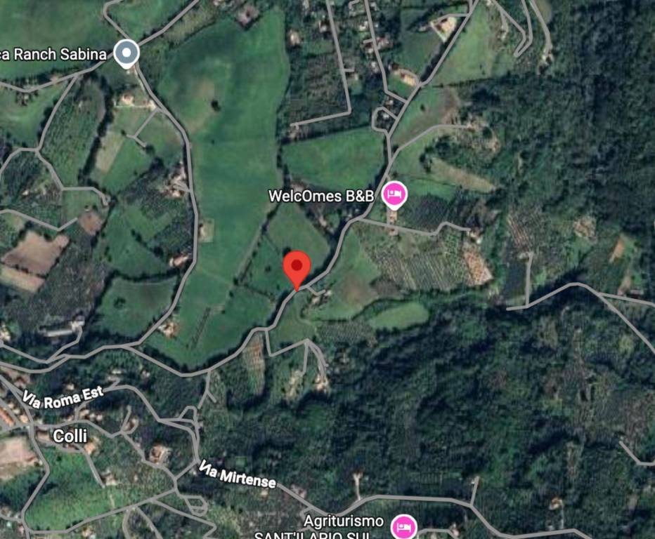 immagine annuncio 8 di 11