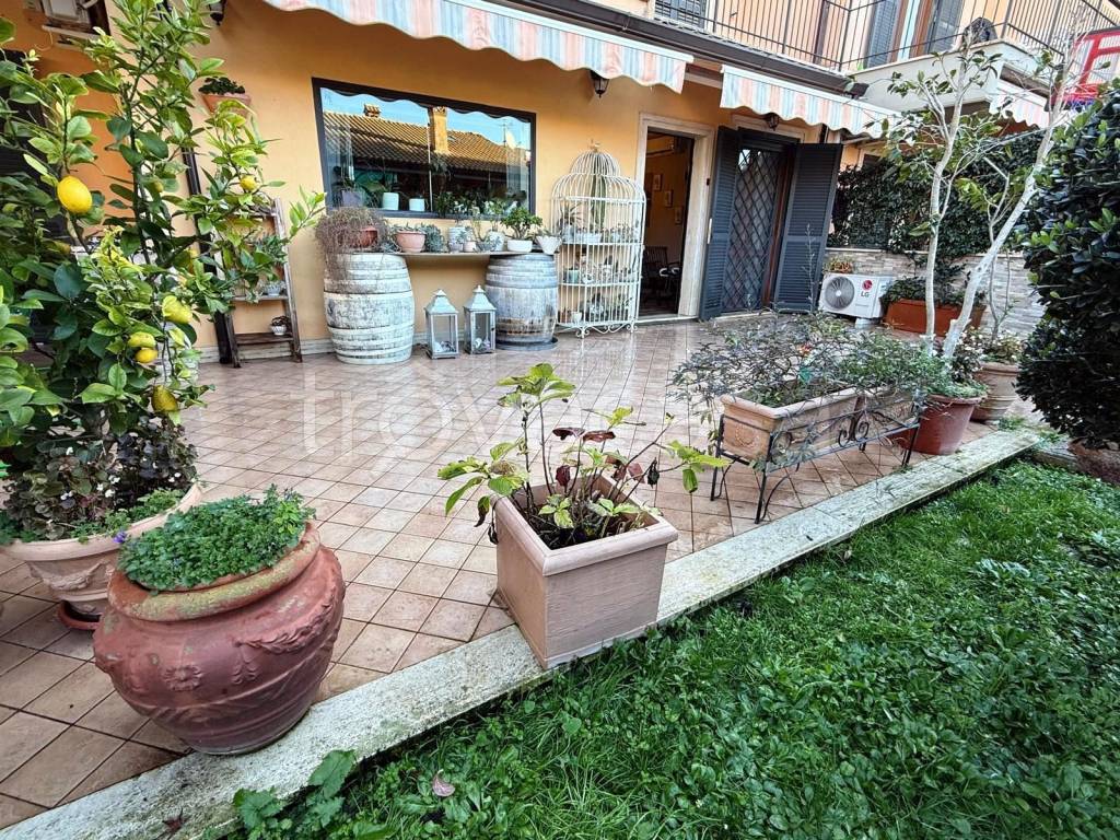 immagine annuncio 5 di 15