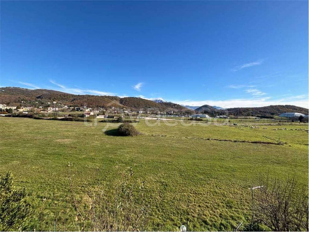 immagine annuncio 4 di 13