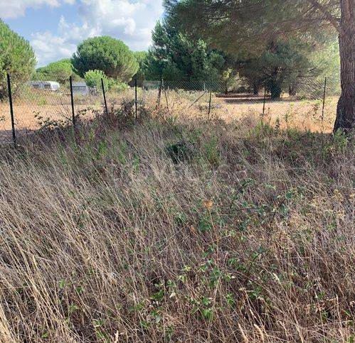 immagine annuncio 4 di 8