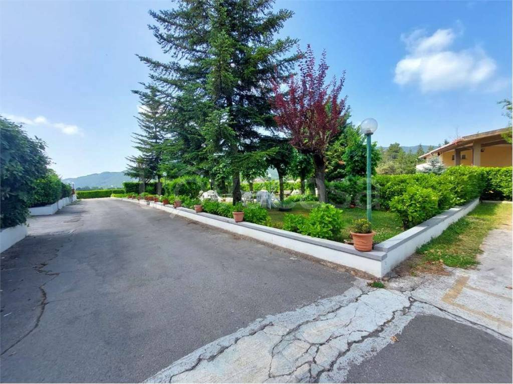 immagine annuncio 11 di 13