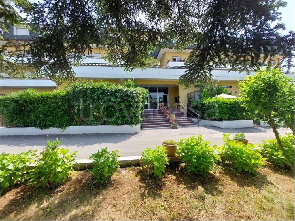 immagine annuncio 12 di 13