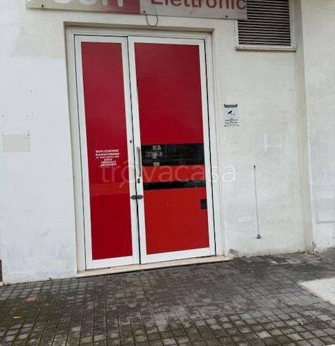 immagine annuncio 3 di 14