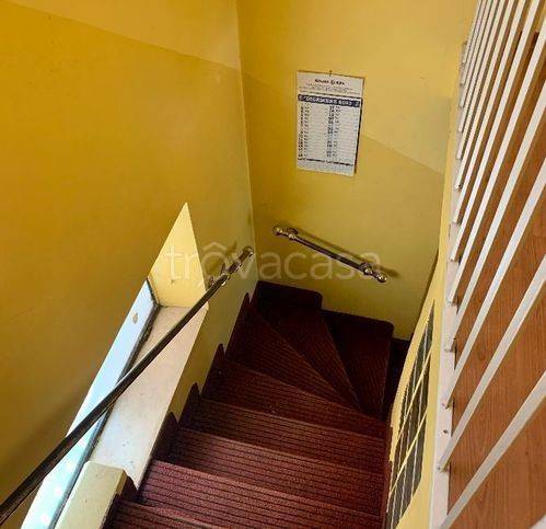 immagine annuncio 7 di 14