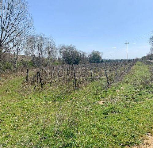 immagine annuncio 8 di 14