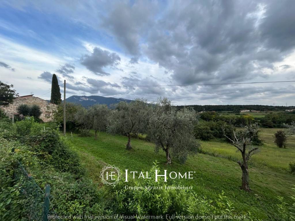 immagine annuncio 4 di 7