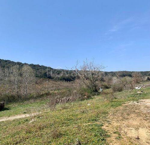 immagine annuncio 12 di 14